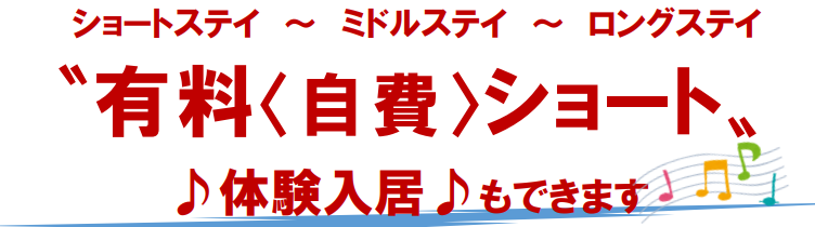 スクリーンショット 2021-12-28 134907